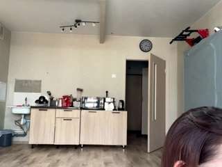 lavettepegram webcam