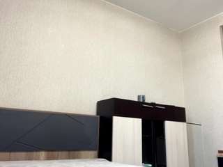 lavettepegram webcam