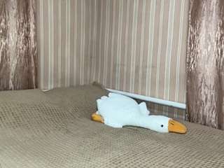 tracienahhas's CamSoda show and profile