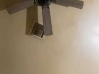 skgolddeere28 webcam model