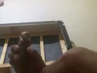 skgolddeere28 webcam