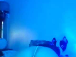 hollywoodgetinit webcam