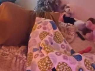 hollywoodgetinit webcam