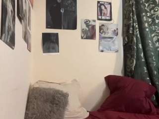 alexandriaerceg webcam