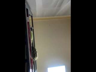 rennasauberan webcam