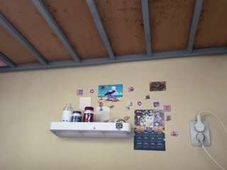 rennasauberan webcam