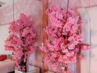 katanasoler2 Live Webcam on CamSoda