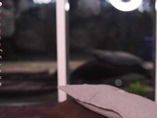 trinatinkle