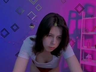 aria-wild webcam