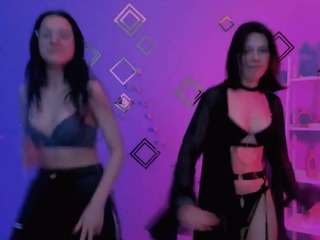 aria-wild webcam