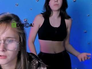 aria-wild live cam preview