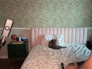 contactobsidiansiren