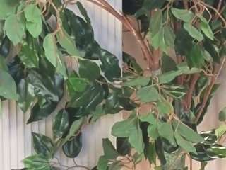 Live webcam model felipadecelles on Soda Cams