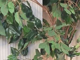 felipadecelles webcam