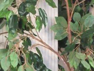 Live webcam model felipadecelles on Soda Cams