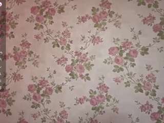 samuelbertorelli webcam