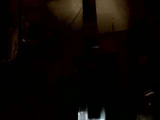 gavenbrock webcam
