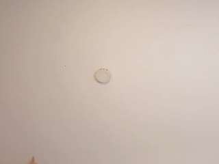 sascha-doll