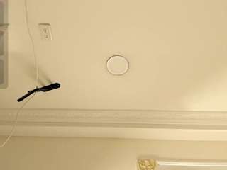 sascha-doll live webcam show