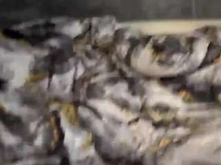 careyaslett Live Webcam on CamSoda