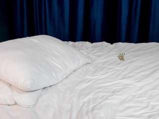 evaevaevaeva Live Webcam on CamSoda