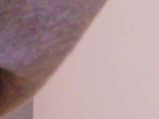 pervert-shydoll