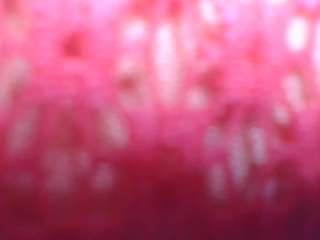 Live webcam model vikiwhittet on Soda Cams