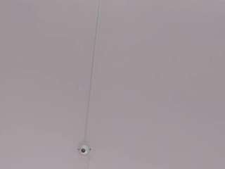 alessiia-moon webcam