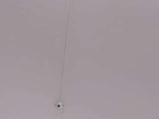 alessiia-moon webcam