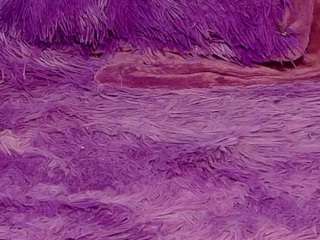 ivytaylor's CamSoda show and profile