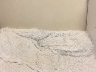 jungmorioka Live Webcam on CamSoda