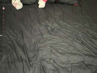 leannshamsi