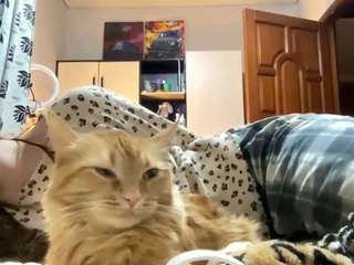 maragaretkristiansen webcam