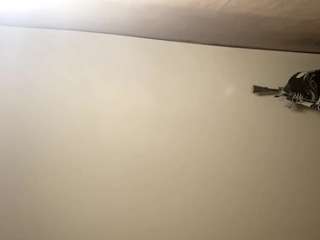 MaragaretKristiansen