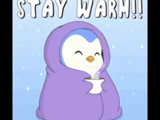 salleytreusdell's CamSoda show and profile