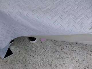 le modèle dulce-34 est en webcam porno dans un show sur le site camsoda, il possède les tags suivants: black hair,public,young adult,teen 18,tattoos,squirter,skinny,brown eyes,shaved pussy,no smoking,fingers,feet,facial piercings,drinking,deepthroat,cum on pussy,big ass,hd,petite,small tits