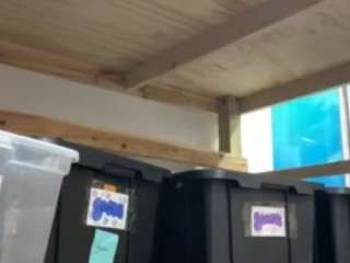 p3achypie Live Webcam on CamSoda