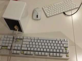 lustyprincess webcam