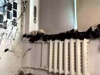 sherrellrevell Sex Cam Show