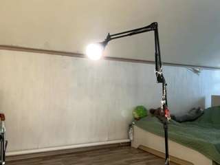 Live webcam model lizrobert on Soda Cams