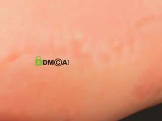 bella-sunshine1 live webcam on Soda Cams