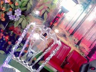 alondra-wile live cam profile