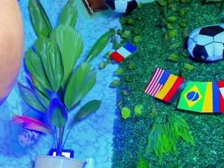 laurengarciaa