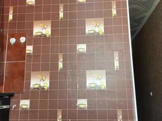 summeralferez's CamSoda show and profile