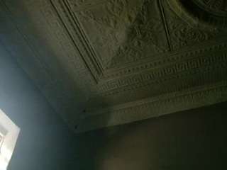 darkvenusxxx live cam profile