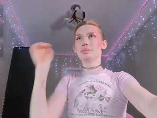 maybe-baby-star webcam