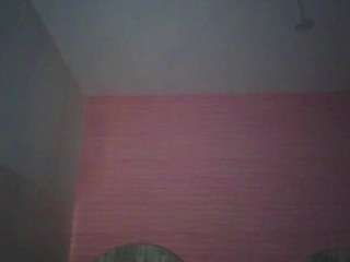 Zedin02-t