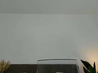 NicolleLexxy