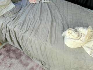 templehidinger webcam