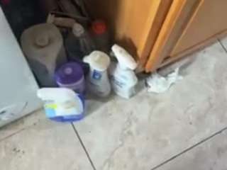 fantasydreamzz212nyc